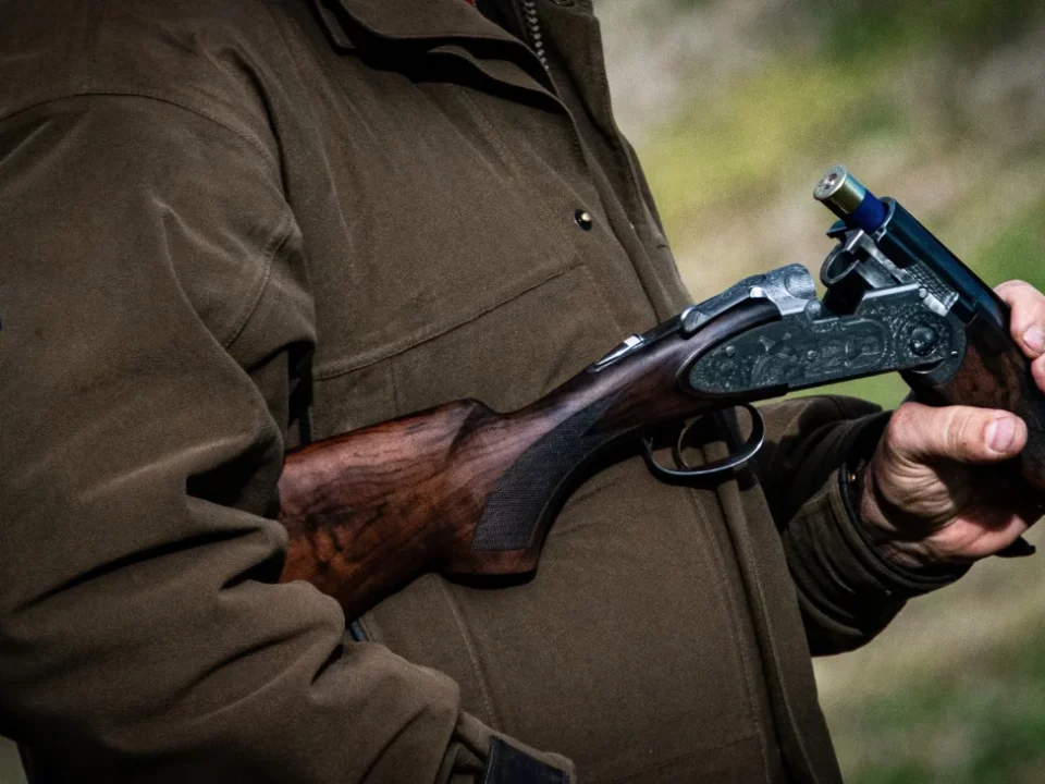 Over-and-under shotgun with cartridges held by a Gun during driven partridge shooting in Spain: 20 gauge vs 12 gauge analysis